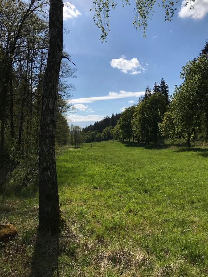 Apartments Saaldorf-Ferienhaus Mit 6 Apartments 45Qm-120Qm Direkt Am Thueringer Meer-Bleilochtalsperre บาดโลเบนชไตน์ ภายนอก รูปภาพ
