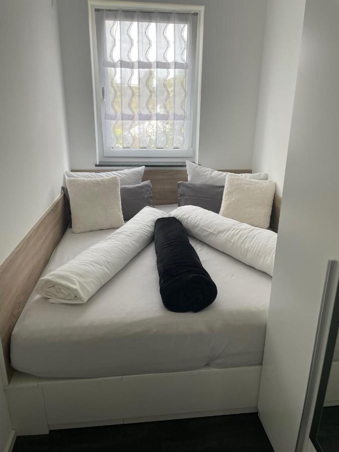 Apartments Saaldorf-Ferienhaus Mit 6 Apartments 45Qm-120Qm Direkt Am Thueringer Meer-Bleilochtalsperre บาดโลเบนชไตน์ ภายนอก รูปภาพ